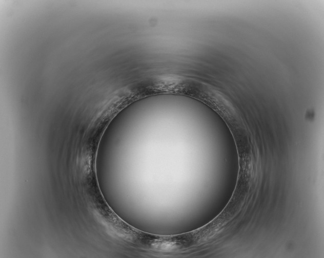 X0000089370602200706221223