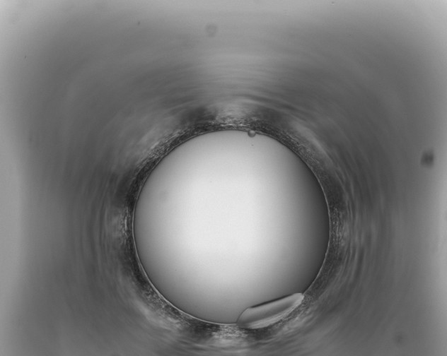 X0000089370603200706221223
