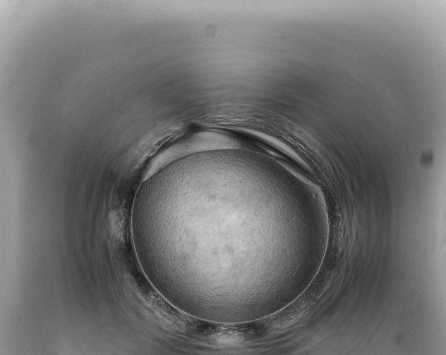 X0000089370604200706221223