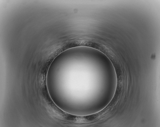 X0000089370605200706221223