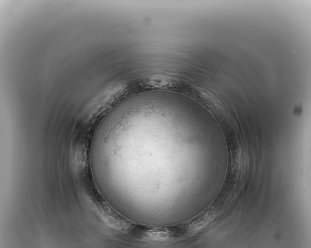 X0000089370606200706221223