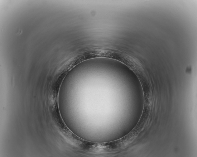 X0000089370607200706221223