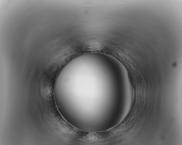 X0000089370608200706221223