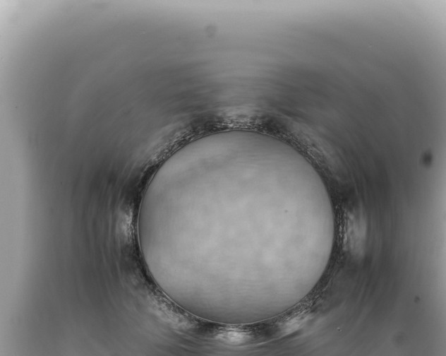 X0000089370610200706221223