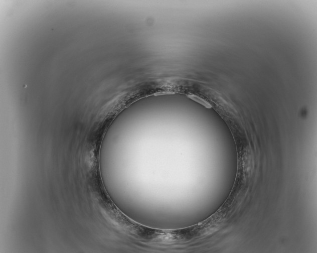 X0000089370611200706221223
