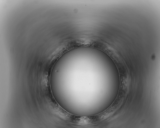 X0000089370612200706221223