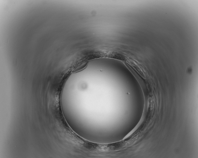 X0000089370613200706221223