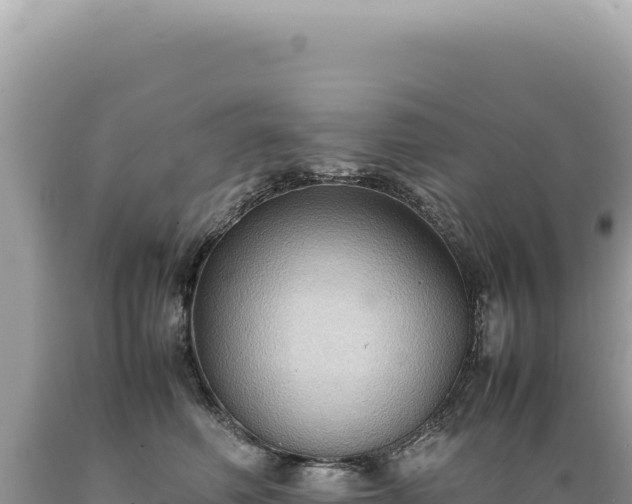 X0000089370614200706221223