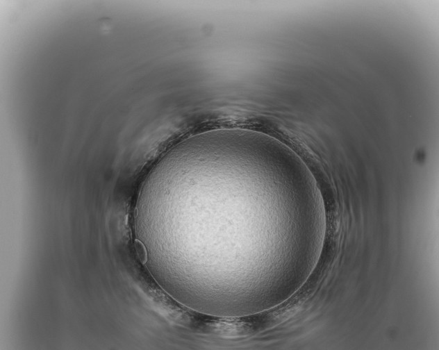 X0000089370615200706221223