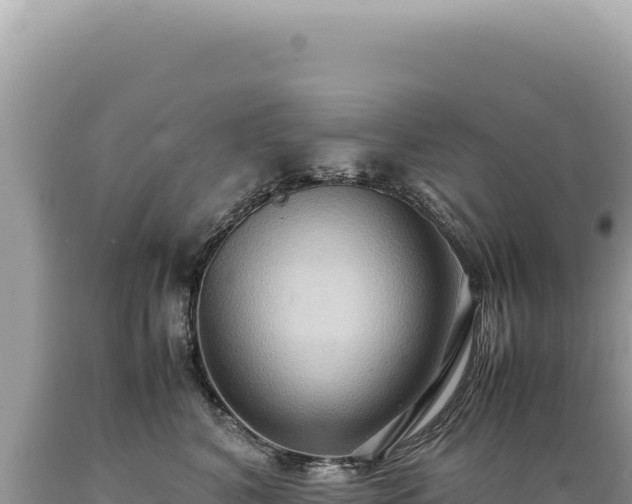 X0000089370616200706221223