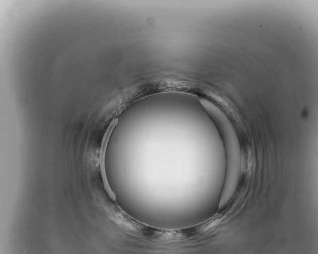 X0000089370621200706221223