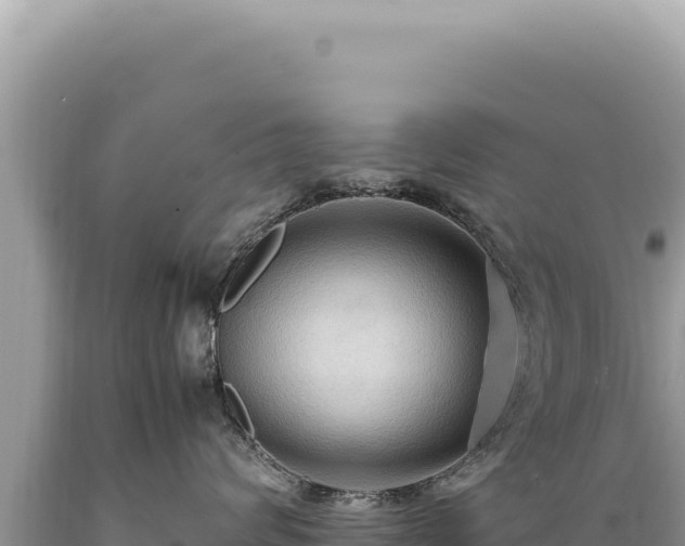 X0000089370624200706221223