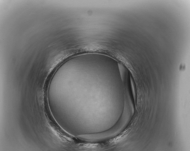 X0000089370626200706221222