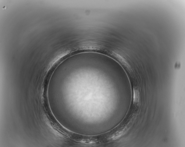 X0000089370627200706221222