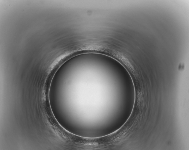 X0000089370628200706221222