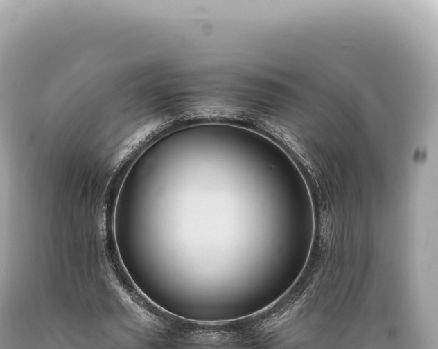 X0000089370629200706221222