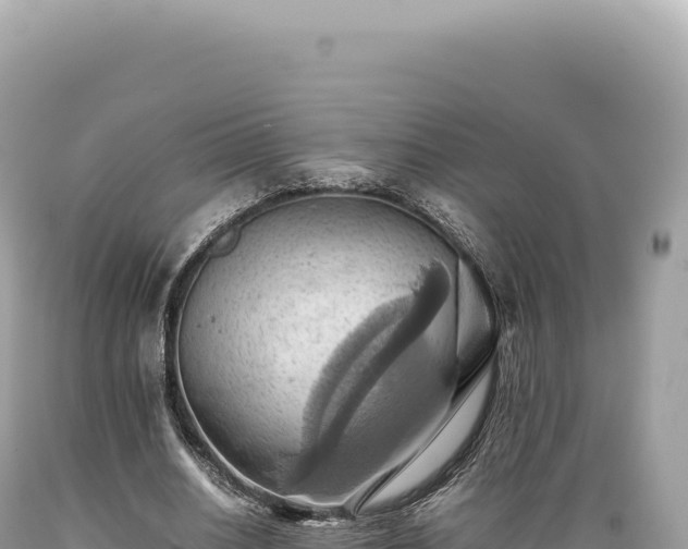 X0000089370630200706221222