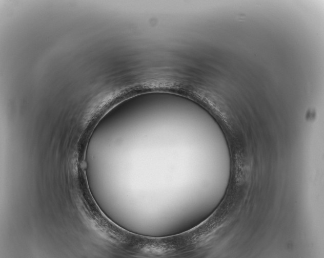 X0000089370631200706221222