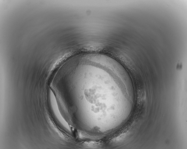 X0000089370634200706221222