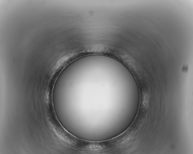 X0000089370636200706221222