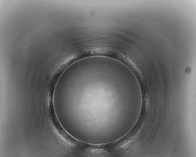 X0000089370637200706221222