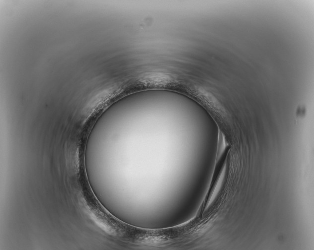 X0000089370638200706221222