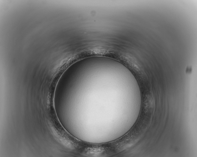 X0000089370639200706221222