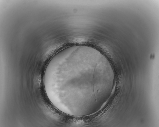 X0000089370640200706221222