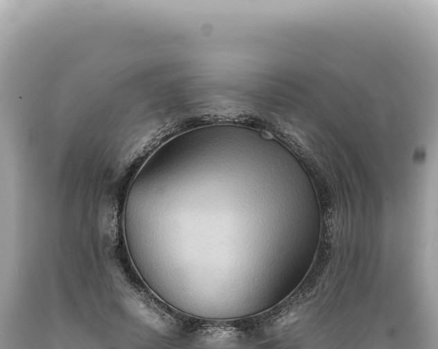 X0000089370642200706221222