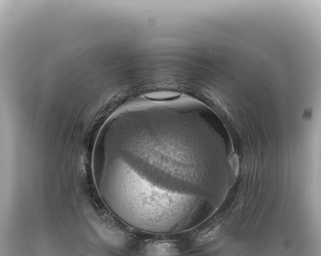 X0000089370643200706221222