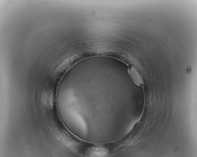 X0000089370644200706221222