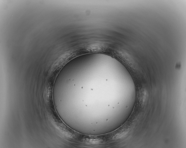 X0000089370645200706221222