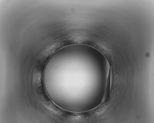 X0000089370646200706221222