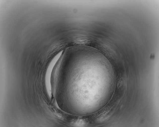 X0000089370647200706221222
