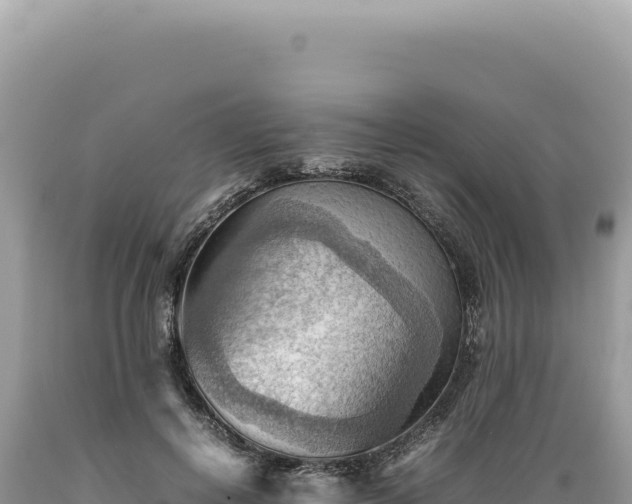 X0000089370648200706221222