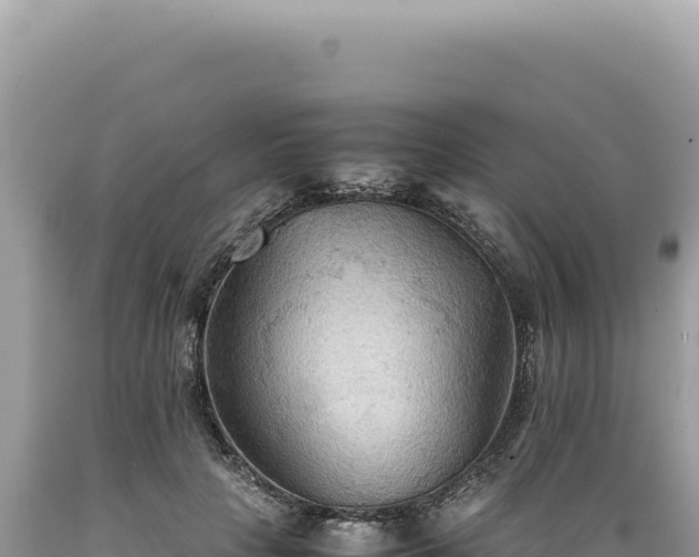 X0000089370649200706221222