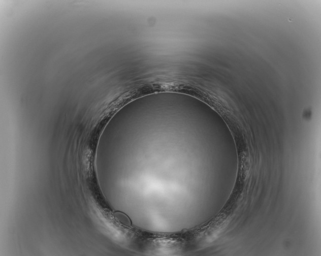 X0000089370650200706221222