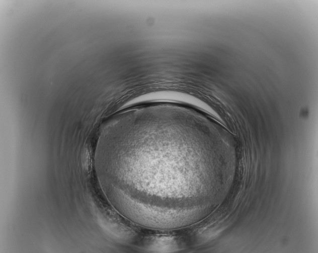 X0000089370651200706221222