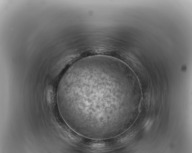 X0000089370653200706221222