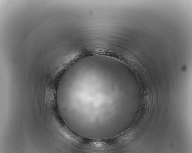 X0000089370654200706221222