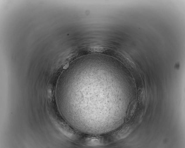 X0000089370655200706221222