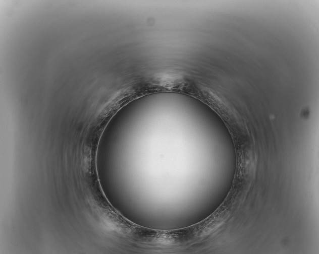 X0000089370656200706221222