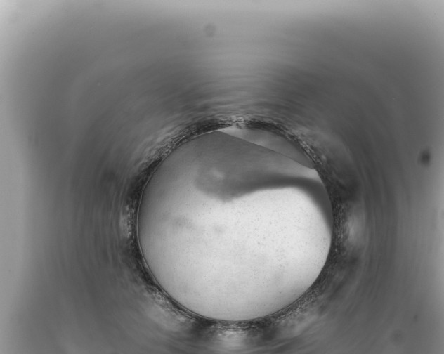 X0000089370658200706221222