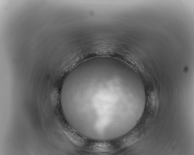 X0000089370659200706221222