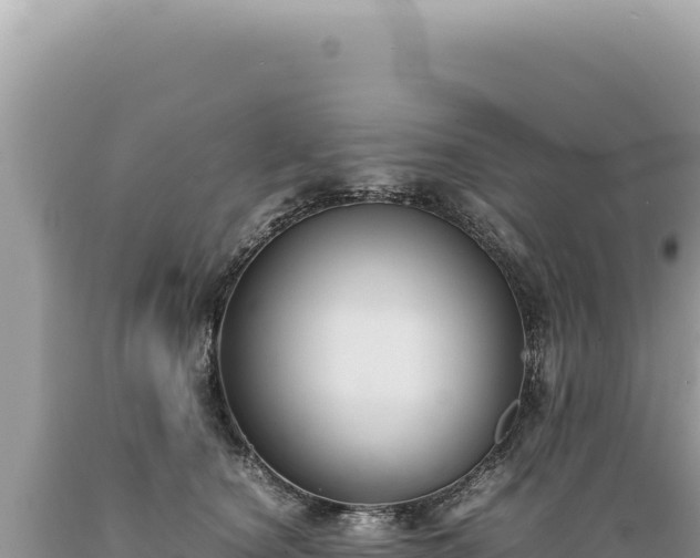 X0000089370660200706221222
