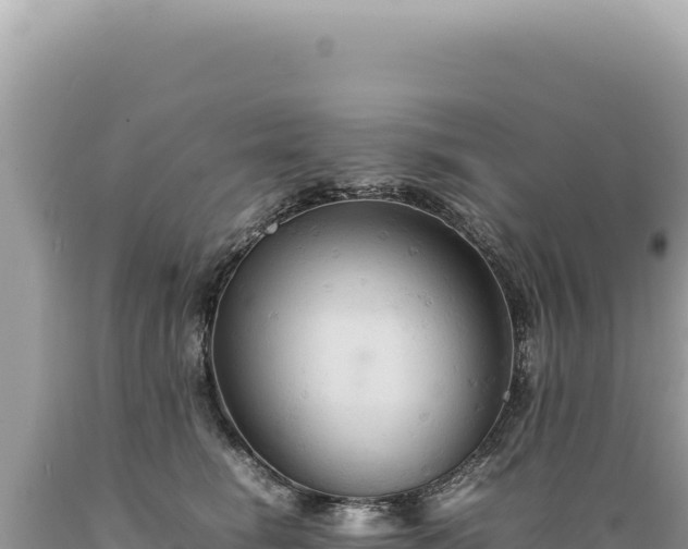 X0000089370662200706221222