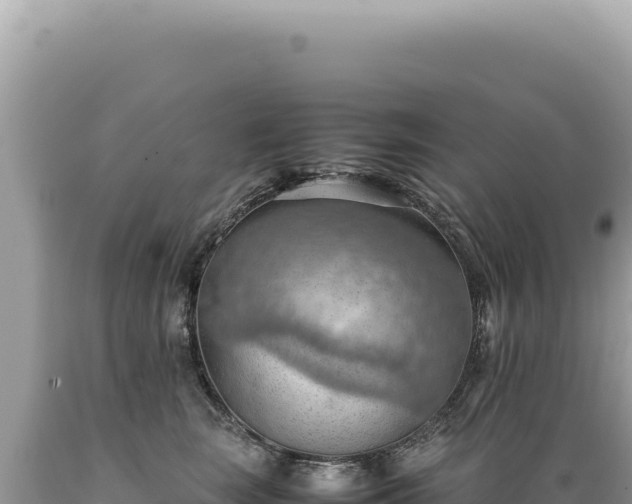 X0000089370663200706221222