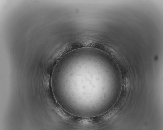 X0000089370664200706221222