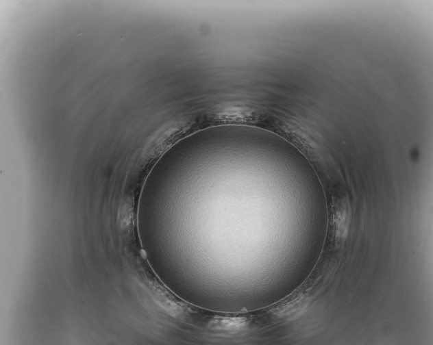 X0000089370665200706221222