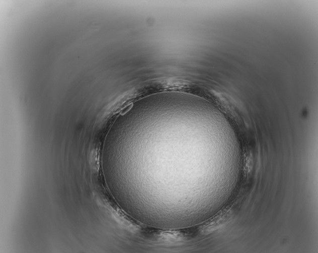X0000089370666200706221223